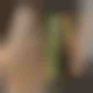 TWISTLINE plaukų tiesintuvas ir garbanojimo prietaisas