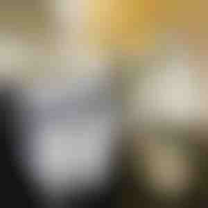 Sulankstoma virtuvės šiukšliadėžė | FLEXBIN