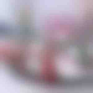 Kalėdų traukinys | TRAINMAS