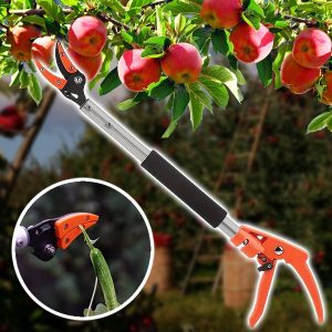 Medžių genėjimo žirklės ir derliaus nuėmimo įrankis (2 viename) | TREESNIP