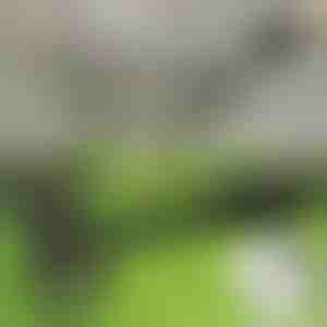 Piktžolių šalinimo įrankis stovint | RUNCO