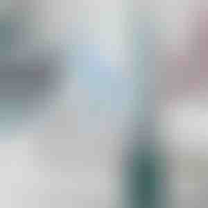 Tualeto šepetys su įmontuotu valymo tirpalo dozatoriumi | FLUSHBRUSH