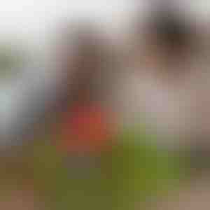 Magnetiniai miniatiūriniai kubeliai (48 vnt.) | MAGCRAFTI