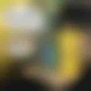 Vaikiškas automobilio padėklas | MUNCHI