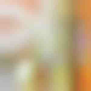 Universalus smulkintuvas | SLICEWISE