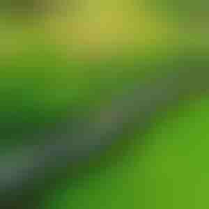 Akmeninė sodo apvadas (10 vnt.) | MINIFENCE