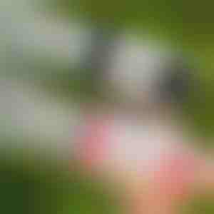 69 skylučių LED burbulų pistoletas | BUBBLEPUFF