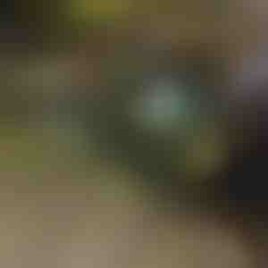 Sulankstomas karutis | TROLLYFOLD