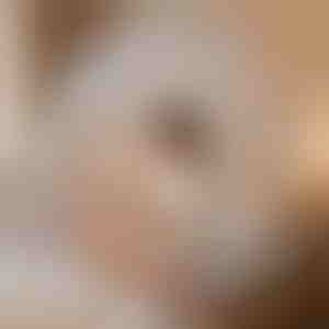 Uodų miegmaišis, kuris jus apsaugo | BUGISTOP