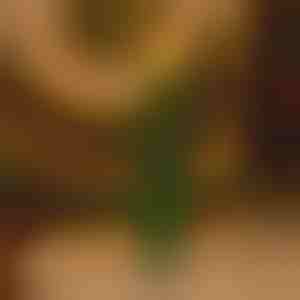 Mirganti be liepsnos šventinė žvakė | CANDLETREE