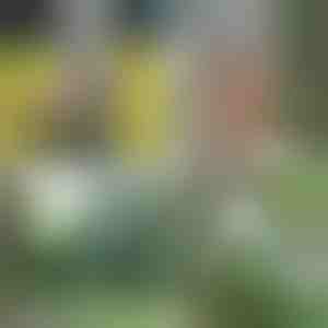 Nešiojama dušo pompa - Įkraunama per USB, 4-5 l/min, 1,5 m žarna | HYDROPORT